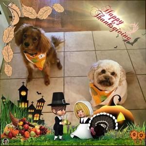 Meet your Posher, Barbara